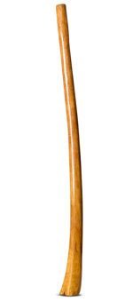 Gloss Finish Didgeridoo (TW1165)